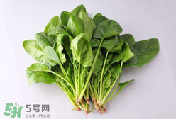 孕婦可以吃菠菜嗎？孕婦菠菜吃多了會怎樣？