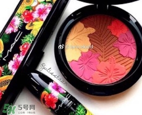 mac2017夏季fruity juicy系列有哪些？