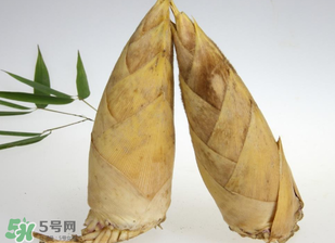 竹筍什么時(shí)候長(zhǎng)出來(lái)？竹筍幾月份長(zhǎng)出來(lái)？