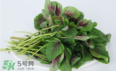 孕婦能吃莧菜嗎？孕婦可以吃莧菜嗎？