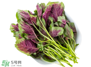 孕婦能吃莧菜嗎？孕婦可以吃莧菜嗎？