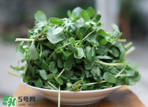 馬齒莧能治白發(fā)嗎？馬齒莧可以治白發(fā)嗎？