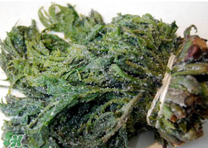 香椿腌制多久可以吃？香椿腌多長時間能吃？