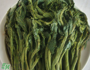 香椿腌制多久可以吃？香椿腌多長時間能吃？