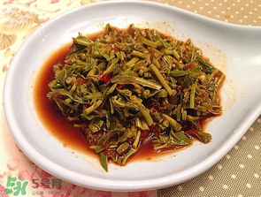 香椿苦能吃嗎？香椿苦怎么做好吃？