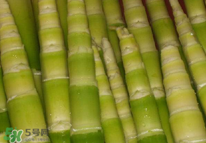 竹筍不焯水有毒嗎？竹筍不過水能吃嗎？