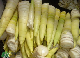 竹筍有毒嗎？吃竹筍會(huì)中毒嗎？