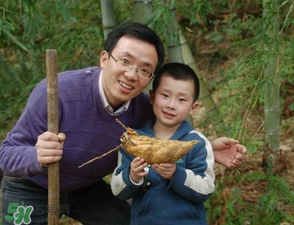 竹筍什么時候挖？竹筍幾月挖？