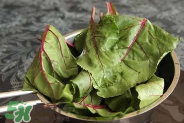 甜菜葉是否可以生吃？甜菜葉可以生吃嗎