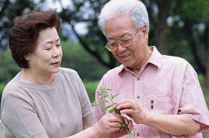 高血脂能不能吃雞蛋？血脂高可以吃雞蛋嗎