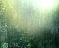 四月份會一直下雨嗎？2017年四月份為什么一直下雨？
