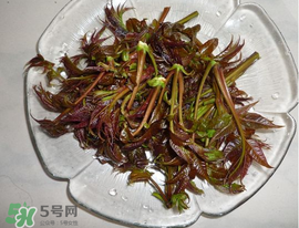 涼拌香椿要過水嗎？香椿涼拌前需要用開水焯一下嗎？
