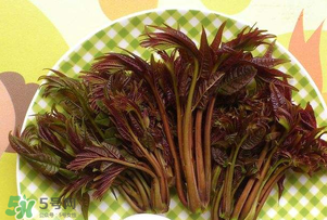 香椿芽可以冷凍嗎？香椿芽怎么冷凍？