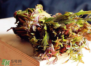 香椿很貴嗎？香椿為什么那么貴？