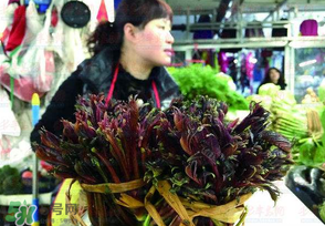 香椿很貴嗎？香椿為什么那么貴？