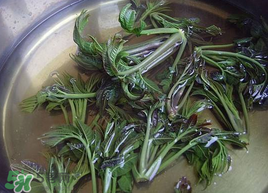 香椿為什么要用開水燙？香椿用開水燙多久？