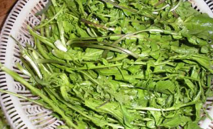 地菜是什么菜？地菜是不是薺菜