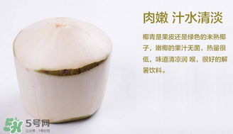 孕婦能不能喝椰青？椰青孕婦能喝嗎？