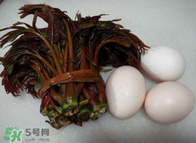 哺乳期可以吃香椿炒雞蛋嗎？哺乳期可以吃香椿炒雞蛋嗎？