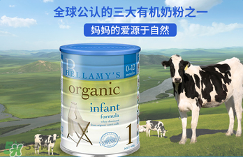 貝拉米奶粉報價多少？貝拉米奶粉價格多少？