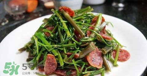 水芹菜孕婦能吃嗎？懷孕的人可以吃水芹菜嗎