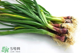 蒜苗多少錢一斤？蒜苗多少錢一斤2017？