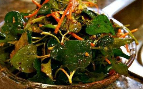 魚腥草根和葉哪個(gè)好？魚腥草根好還是葉子好