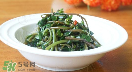 馬莧菜怎么吃？馬莧菜怎么做好吃