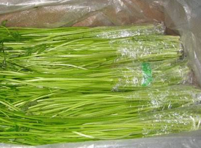 水芹菜如何保鮮？水芹菜怎么保鮮