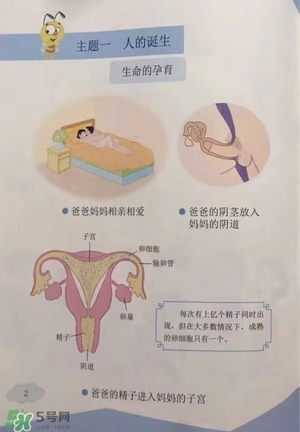 孩子瀏覽成人網(wǎng)站怎么辦？小學性教育有沒有必要？
