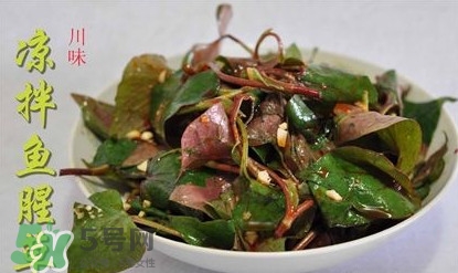 吃魚腥草可以喝酒嗎？吃魚腥草能喝酒嗎