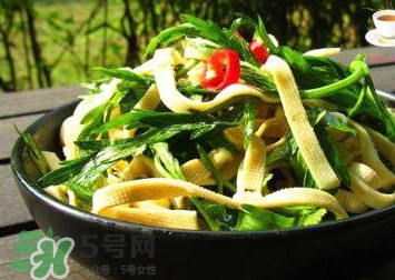 水芹菜的葉子可以吃嗎？水芹菜葉子能吃嗎
