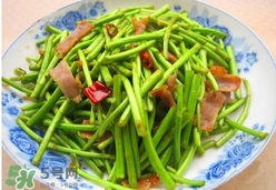 藜蒿葉子能吃嗎？藜蒿葉子可以吃嗎