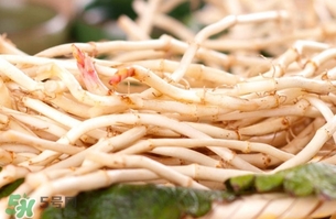 新鮮魚腥草怎么煮水？魚腥草怎么煮水喝