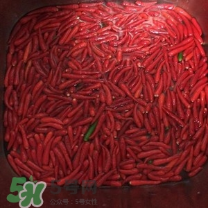 辣醬怎么做好吃？四川辣醬的制作方法