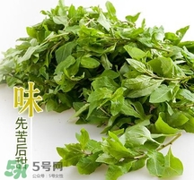 枸杞頭怎么吃？枸杞頭如何吃