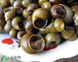 田螺可以凈化水質(zhì)嗎？田螺能凈化水質(zhì)嗎？