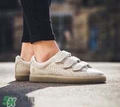 puma careaux新款什么時(shí)候發(fā)售？彪馬玫瑰聯(lián)名2017什么時(shí)候上市？