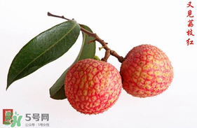 4月份有荔枝嗎？四月份有荔枝嗎？