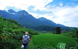 四月份去哪里旅游比較好？四月份最適合旅游的地方