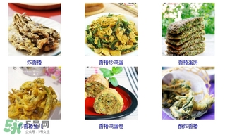 香椿芽怎么吃？新鮮香椿芽怎么吃