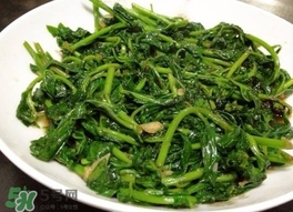 枸杞頭怎么吃？枸杞頭如何吃