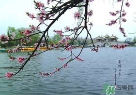 四月份去哪里旅游比較好？四月份最適合旅游的地方