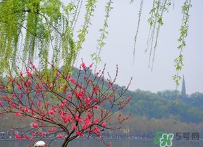 四月份去哪里旅游比較好？四月份最適合旅游的地方