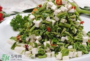香椿可以助孕嗎？香椿有助孕的功效嗎？