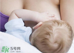 香椿會(huì)回奶嗎？吃香椿會(huì)回奶嗎？