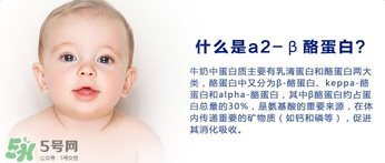A2奶粉分幾種？A2奶粉有幾個(gè)種類？