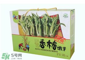 香椿能泡茶嗎？香椿茶的功效與作用