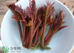 香椿和雞肉可同吃嗎？香椿和雞肉能一起吃嗎？