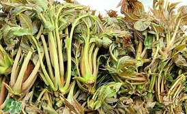 香椿和平菇能一起吃嗎？香椿和香菇能一起吃嗎？